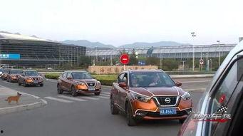 东风热浪视频爆料大全,揭秘夏日激情瞬间